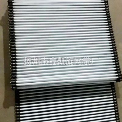 不锈钢四氟串杆链带