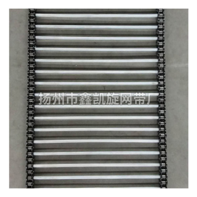 316L不锈钢四氟串杆链带